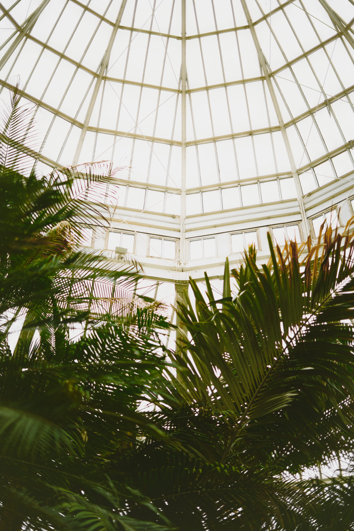 Camille Branham artwork